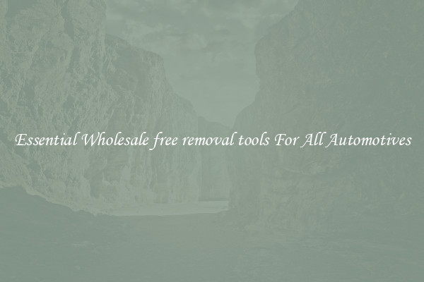 Essential Wholesale free removal tools For All Automotives