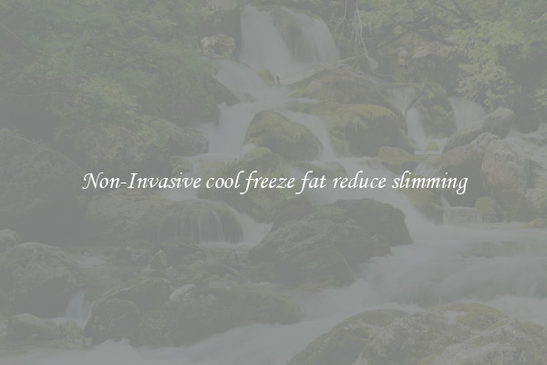 Non-Invasive cool freeze fat reduce slimming