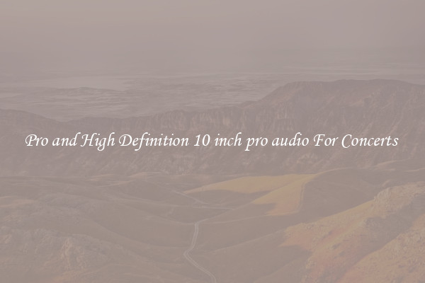 Pro and High Definition 10 inch pro audio For Concerts 