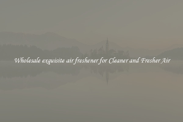 Wholesale exquisite air freshener for Cleaner and Fresher Air