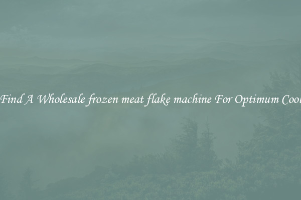 Find A Wholesale frozen meat flake machine For Optimum Cool