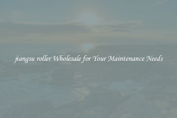 jiangsu roller Wholesale for Your Maintenance Needs