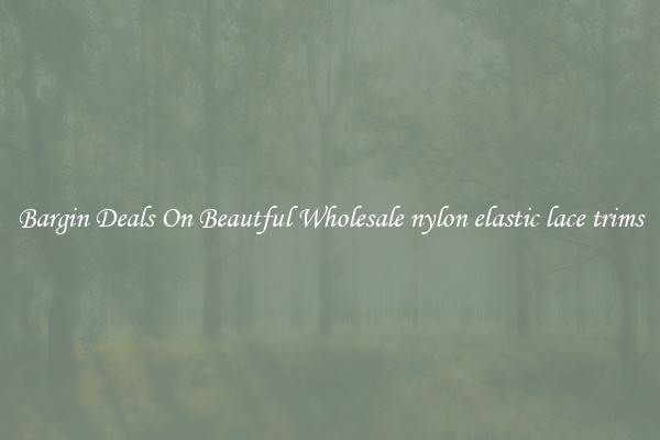 Bargin Deals On Beautful Wholesale nylon elastic lace trims