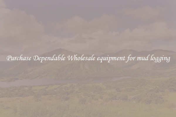 Purchase Dependable Wholesale equipment for mud logging