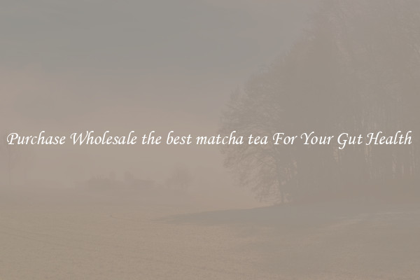 Purchase Wholesale the best matcha tea For Your Gut Health 