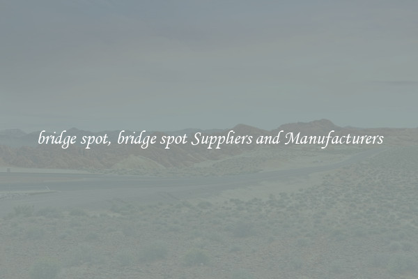 bridge spot, bridge spot Suppliers and Manufacturers