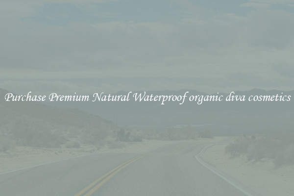 Purchase Premium Natural Waterproof organic diva cosmetics