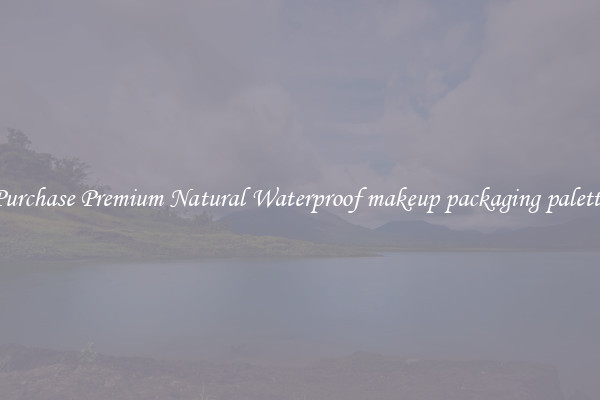 Purchase Premium Natural Waterproof makeup packaging palette