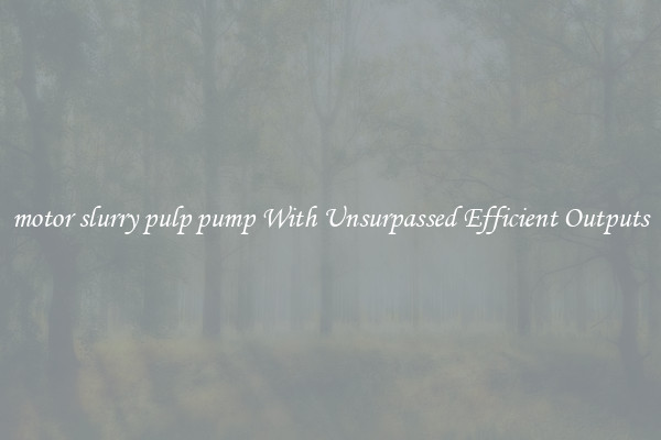 motor slurry pulp pump With Unsurpassed Efficient Outputs