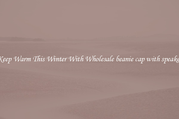 Keep Warm This Winter With Wholesale beanie cap with speaker