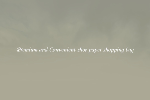 Premium and Convenient shoe paper shopping bag
