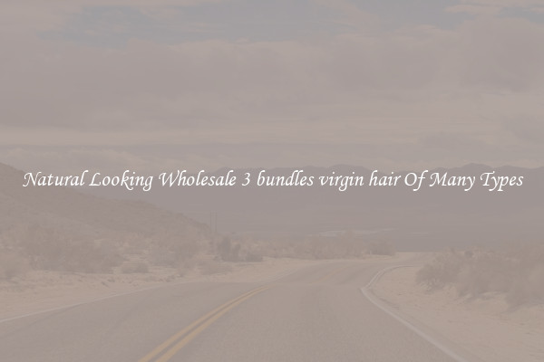Natural Looking Wholesale 3 bundles virgin hair Of Many Types