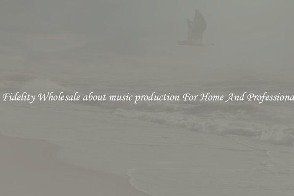 High Fidelity Wholesale about music production For Home And Professional Use