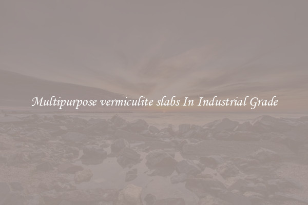 Multipurpose vermiculite slabs In Industrial Grade
