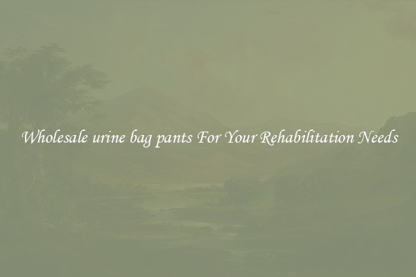 Wholesale urine bag pants For Your Rehabilitation Needs