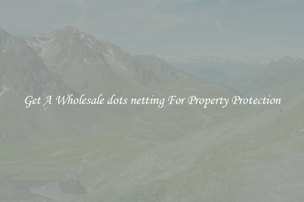 Get A Wholesale dots netting For Property Protection