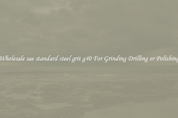 Wholesale sae standard steel grit g40 For Grinding Drilling or Polishing