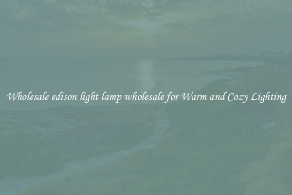 Wholesale edison light lamp wholesale for Warm and Cozy Lighting
