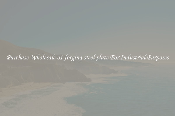 Purchase Wholesale o1 forging steel plate For Industrial Purposes