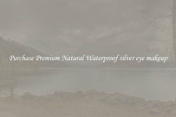 Purchase Premium Natural Waterproof silver eye makeup